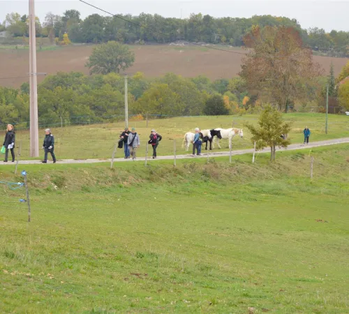 Sur les hauteurs de Saint-Robert