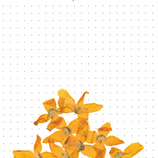 Exposition de Socheata CANTO-AING, "clarifie le coeur disperse le feu"