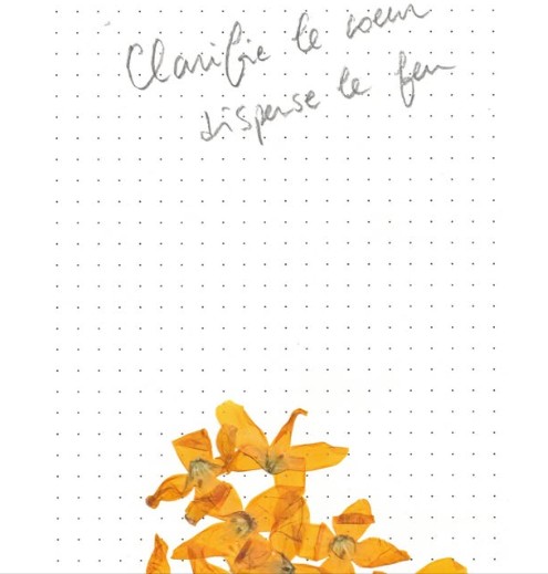 Exposition Clarifie l ... - Crédit: Pollen | CC BY-NC-ND 4.0