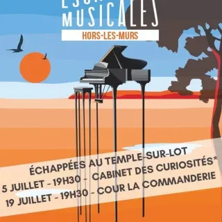 Escapade musicale : opéra de poche, Carmen de Bizet