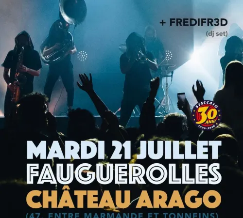 TECHNOBRASS et FREDIFR3D en concert au Château Arago