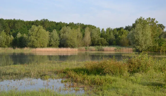 Visite de la Réserve ... - Crédit: réserve de la mazière | CC BY-NC-ND 4.0