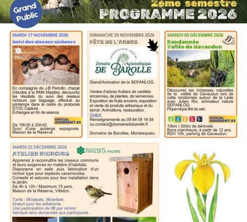 Atelier nichoirs à la maison de Réserve Naturelle de la Mazière