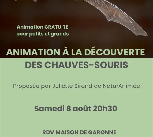 A la découverte des chauves-souris