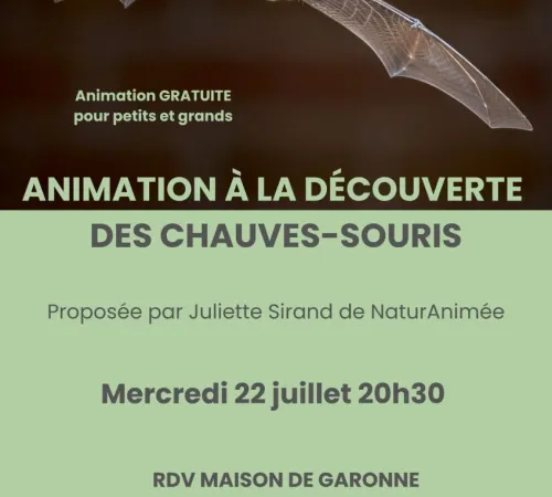 À la découverte des chauves-souris