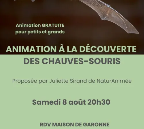 À la découverte des chauves-souris