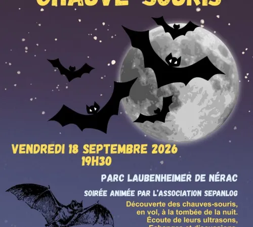 Nuit de la Chauve-Souris