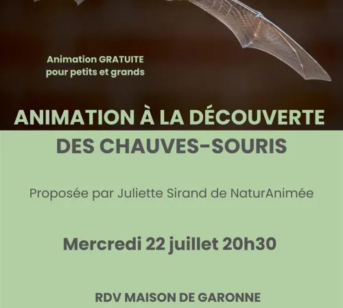 A la découverte des chauves-souris