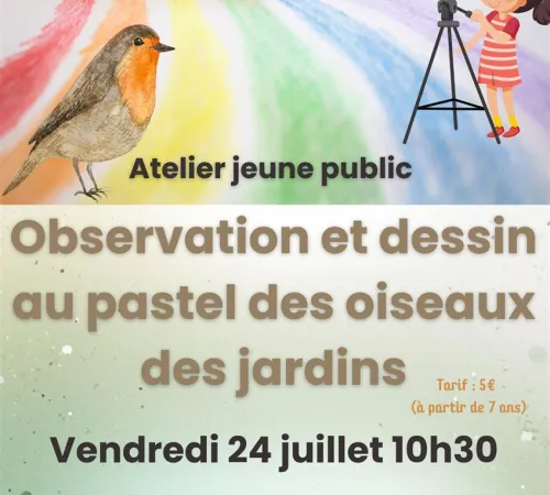 Atelier d'observation des oiseaux et de dessin crayons pastel