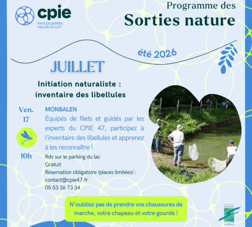 Initatiation naturaliste : à la découverte des papillons !