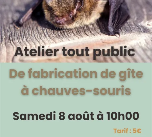 Atelier de fabrication d'abri à chauves-souris