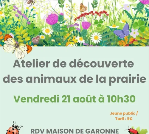 Atelier découverte de la microfaune de la prairie