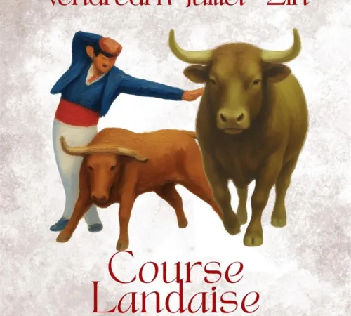 Courses landaises