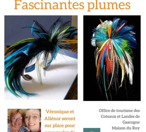 Exposition : Fascinantes plumes