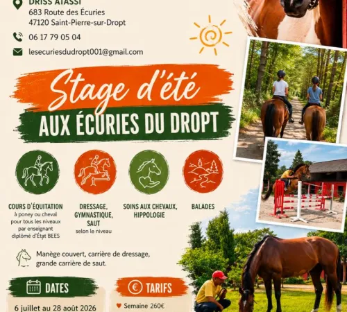 Stage d'équitation été 2026