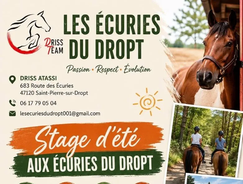 Cours privés ou colle ... - Crédit: Ecurie du Dropt | CC BY-NC-ND 4.0
