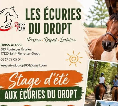 Cours privés ou collectifs, balades, stage d'été aux Ecuries du Dropt