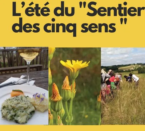 Le sentier des 5 sens au Domaine Les Hauts de Riquets balade gourmande