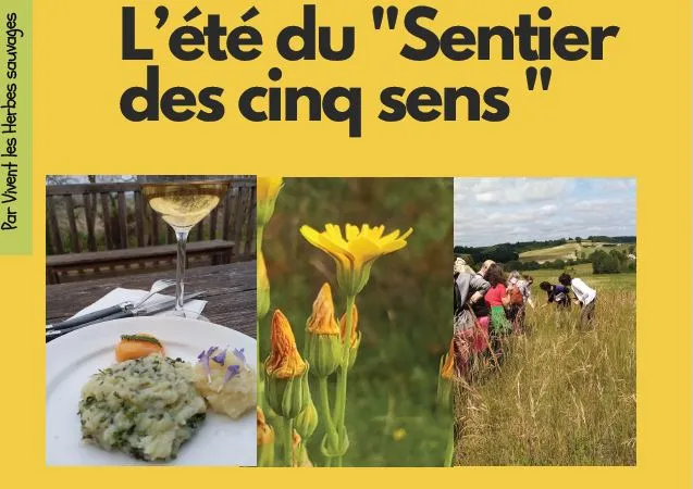 Le sentier des 5 sens ... - Crédit: balade de riquet | CC BY-NC-ND 4.0