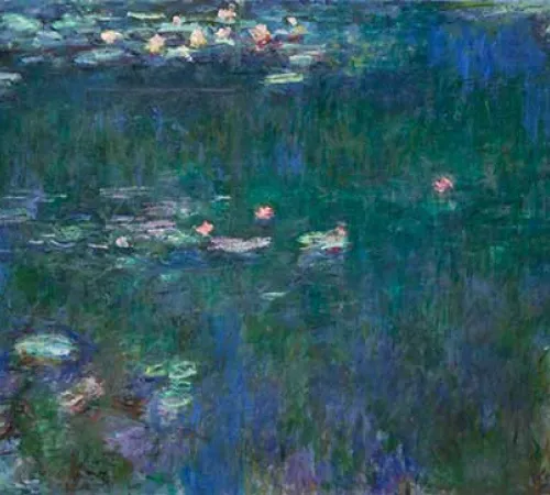 Atelier-conte "La mare aux nénuphars" 2026