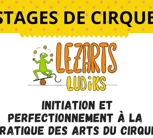 Stage des arts du cirque avec Lezarts Ludiks