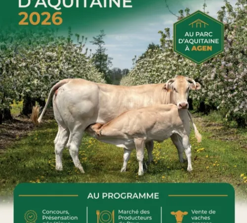 Concours national blonde d'aquitaine