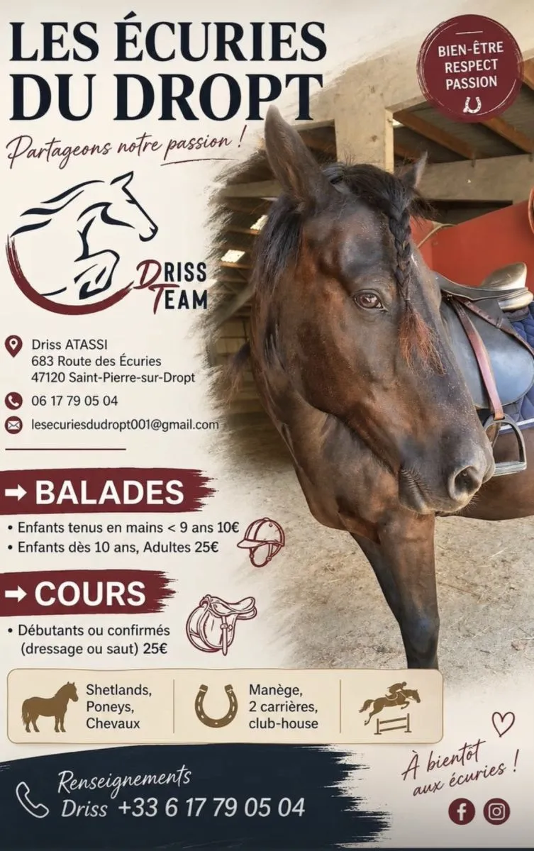 Balade à cheval ou po ...