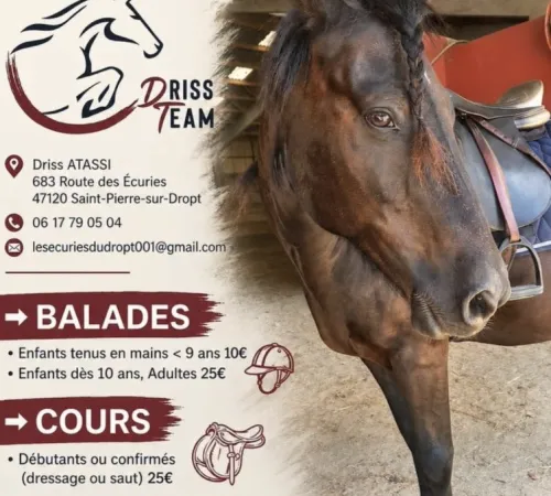 Balade à cheval ou poney et cours d'équitation