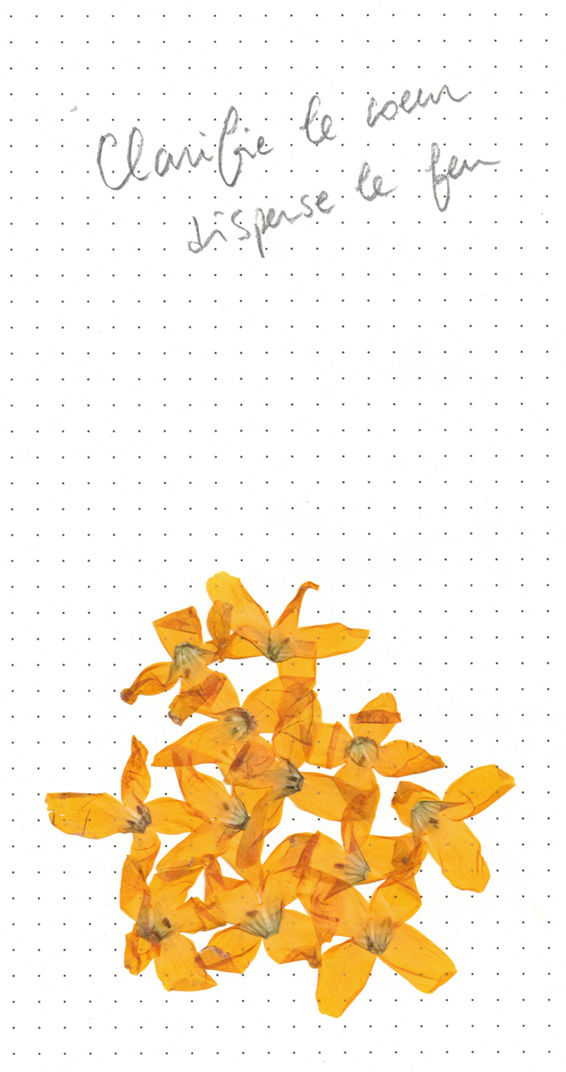 Exposition de Socheata CANTO-AING, "clarifie le coeur disperse le feu"