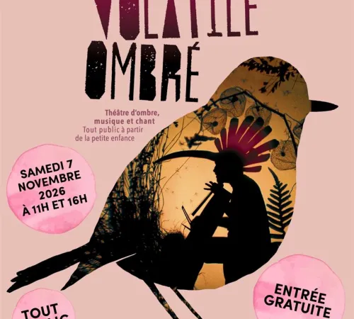 Spectacle "Volatile ombré"
