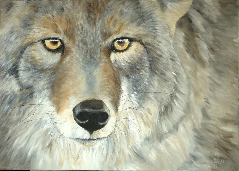 Exposition - "Voisins ... - Crédit: helene Lagassan | CC BY-NC-ND 4.0