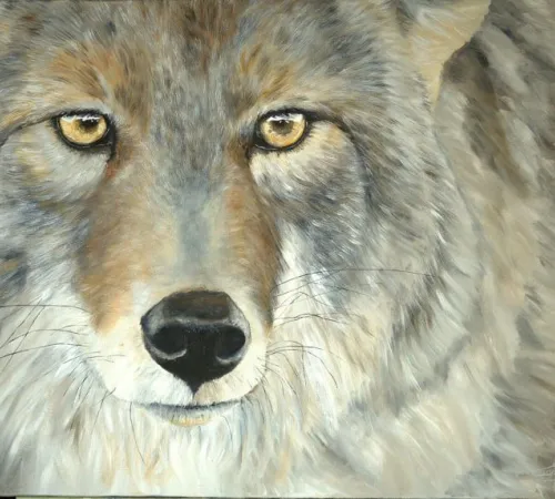 Exposition - "Voisins de vie" de Hélène LAGASSAN