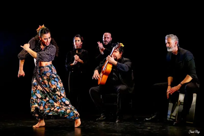 Flamenco - RECÓNDITO ... - Crédit: ©Franck Mage | CC BY-NC-ND 4.0