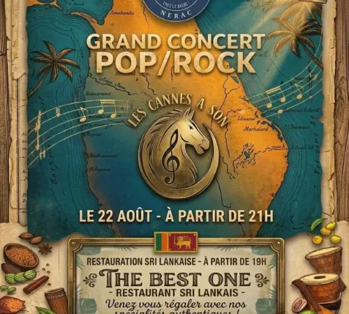 Concert Pop/rock avec Les Cannes à son