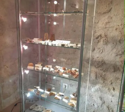 Visite commentée de l'espace muséal d'archéologie et d'histoire