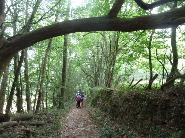 Randonnée active - Crédit: Les chemins de Thézac | CC BY-NC-ND 4.0