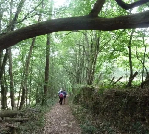 Randonnée active