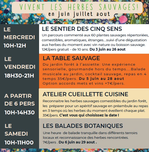 Atelier Cueillette et ... - Crédit: Vivent les herbes sauvages | CC BY-NC-ND 4.0