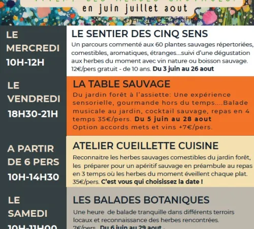 Atelier Cueillette et Cuisine en 3 temps