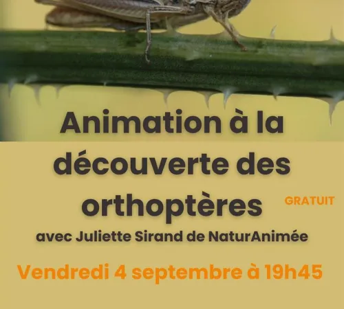 Maison de Garonne : Animation à la découverte des orthoptères – tout public