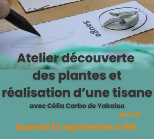 Maison de Garonne : Atelier de reconnaissance des plantes et réalisation d’une tisane – tout public