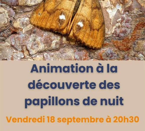 Maison de Garonne : Animation découverte des papillons de nuit – tout public
