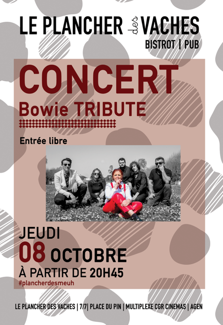 Bowie Tribute 