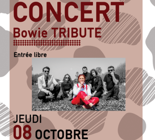 Bowie Tribute
