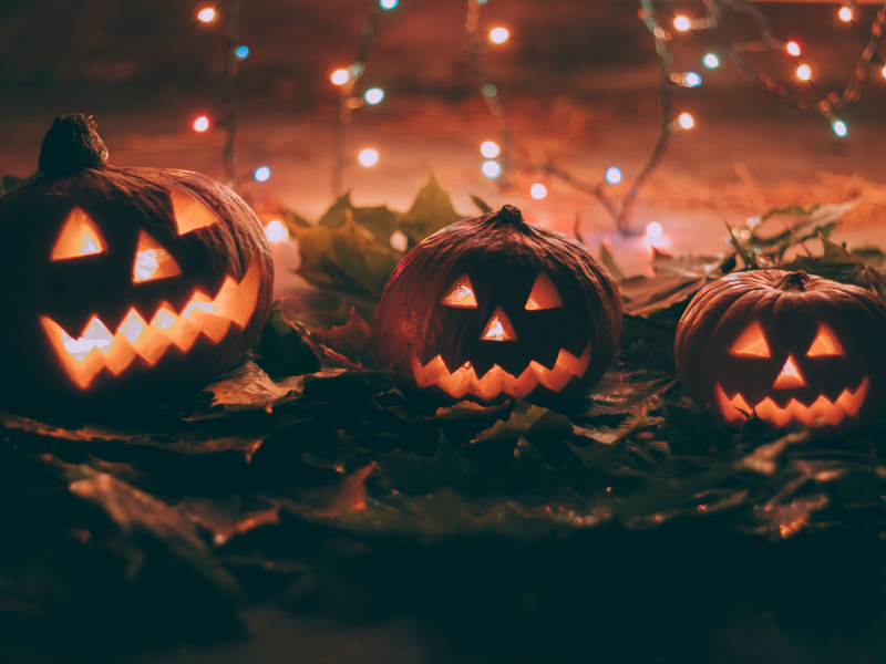Boum d'Halloween de l ... - Crédit: ©Yulina Kashirina | CC BY-NC-ND 4.0