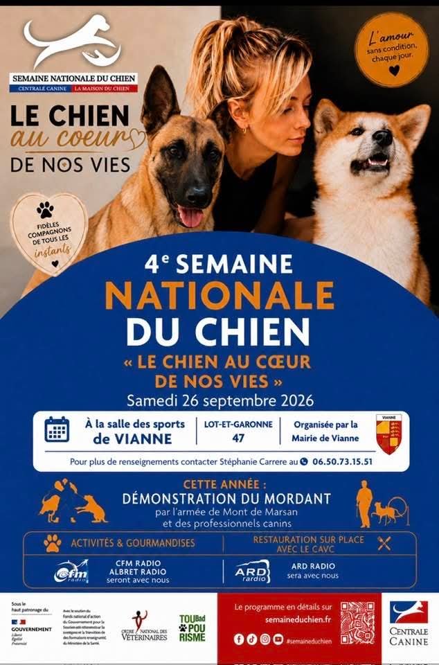 Le chien au coeur de ... - Crédit: Vianne | CC BY-NC-ND 4.0