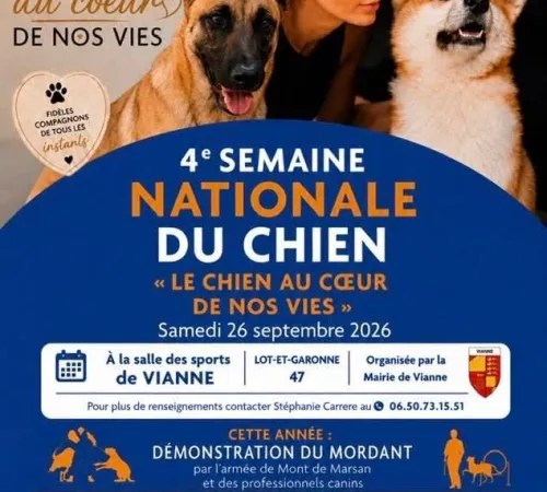 Le chien au coeur de nos vies