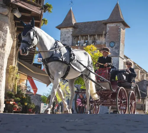 32ème Fête du cheval de Villeréal