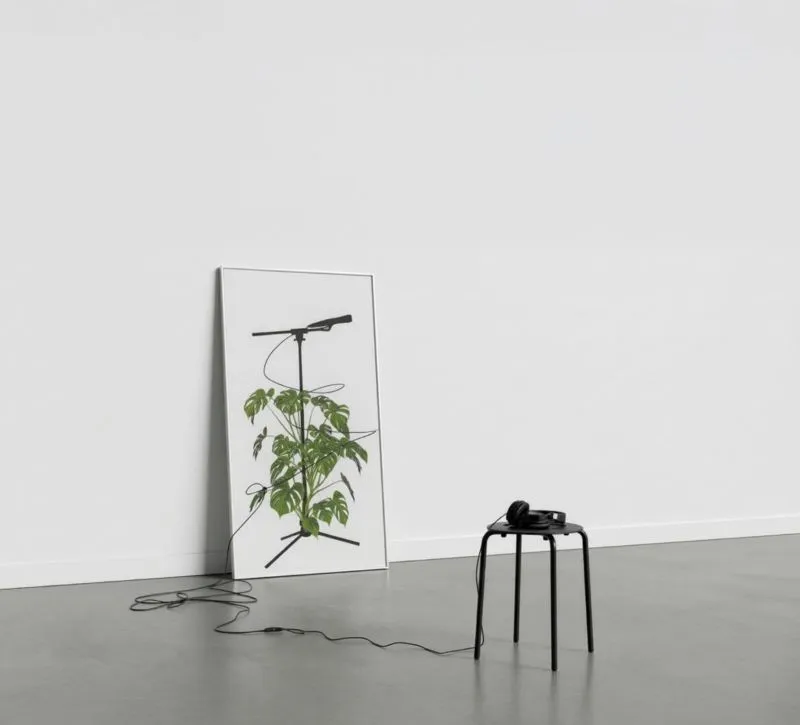 Exposition "Racines p ... - Crédit: ©Adagp, Paris, 2026 | CC BY-NC-ND 4.0