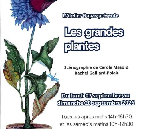 Exposition Les Grandes plantes